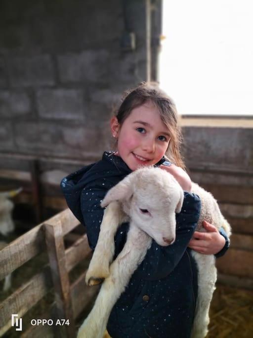 Gite La Dame Au Lit Gite A La Ferme Momignies Εξωτερικό φωτογραφία