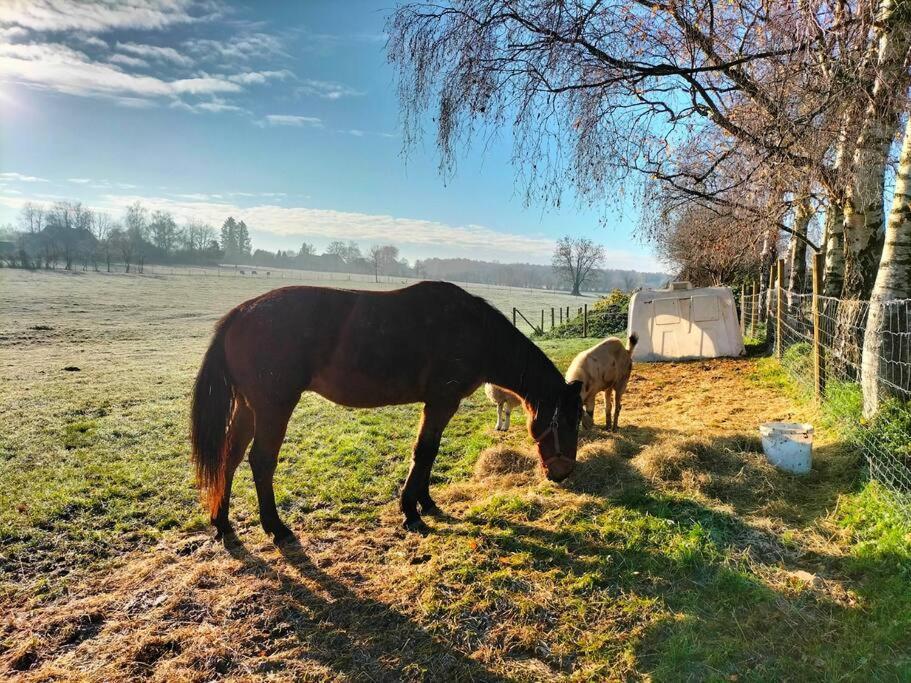 Gite La Dame Au Lit Gite A La Ferme Momignies Εξωτερικό φωτογραφία